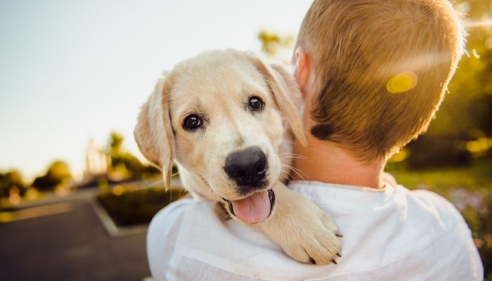 Adoption